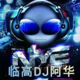 中外串烧,临高DJ阿华-2021打世纪酒吧气氛跳舞大碟串烧越南鼓