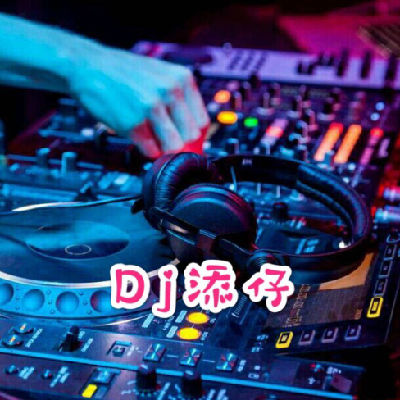 中文Electro,蒋蕙林 李子恒 - 终究只是过客(镇龙Dj添仔 Electro Mix 粤语女)