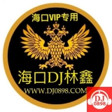 海口Dj林鑫