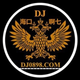 海囗DJ啊七
