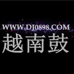 越南鼓Dj