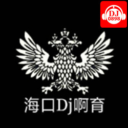 海口DJ啊育
