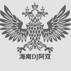 海南DJ阿双