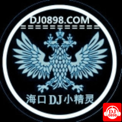 海口DJ小精灵